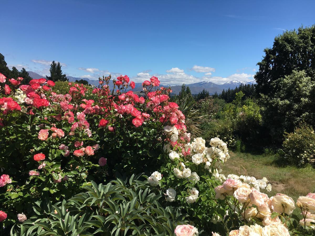 Mitchella Farm Daire Wanaka Dış mekan fotoğraf