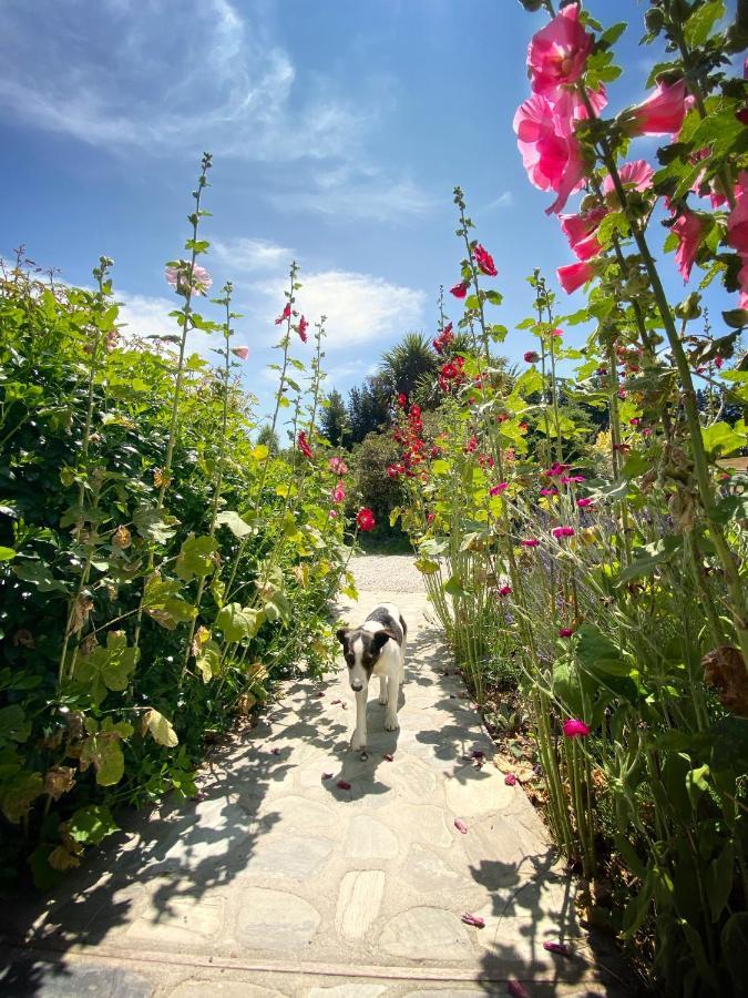 Mitchella Farm Daire Wanaka Dış mekan fotoğraf